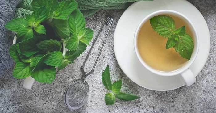 PEPPERMINT TEA PEPPERMINT TEA